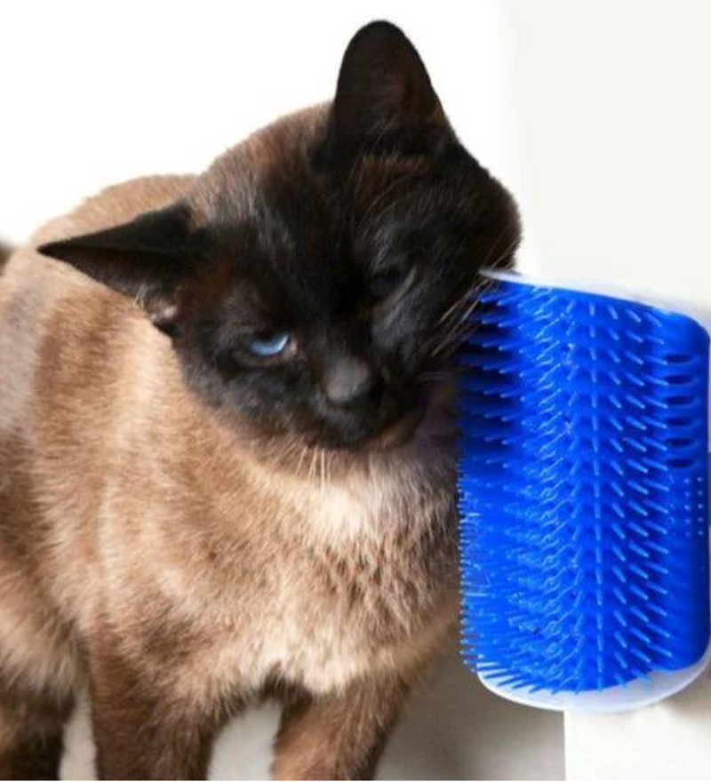 Escova Massageadora Autônoma Para Gatos - TranquiTouch [COMPRE 1 LEVE 2]