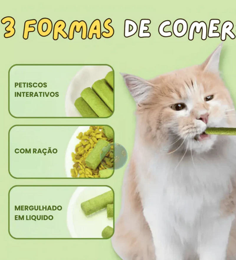 FitCat - Grama Comestíveis Para Gatos