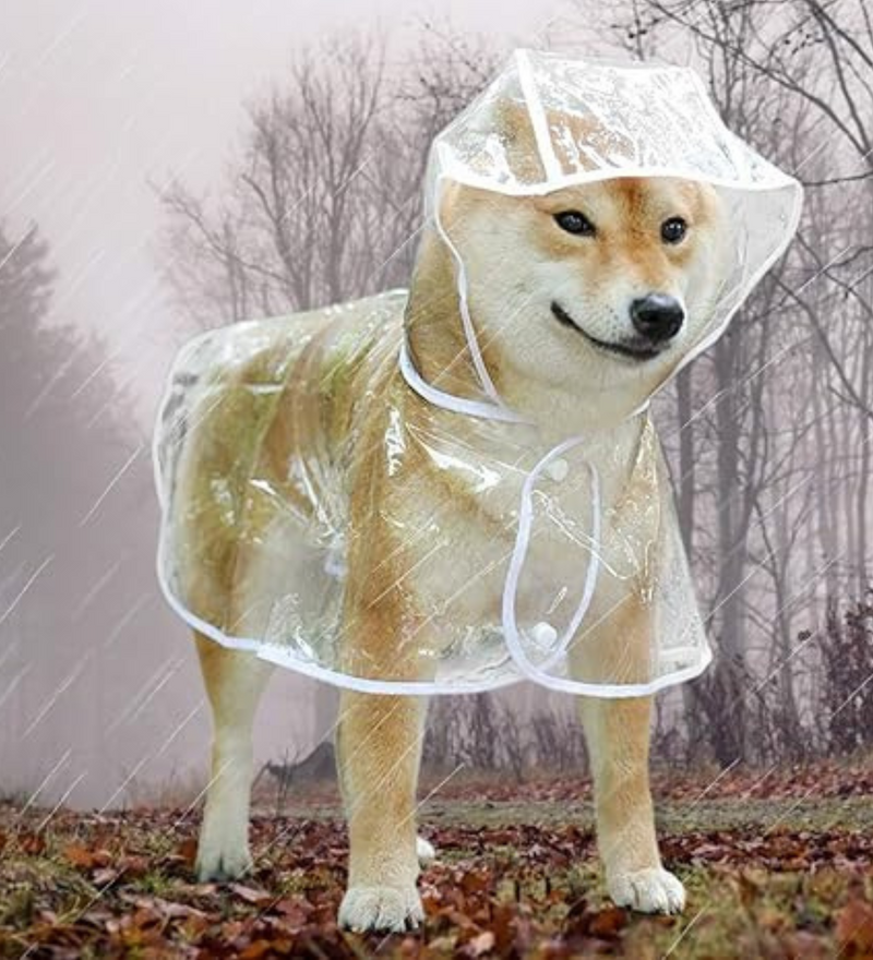 Capinha de Chuva Pet - Impermeável